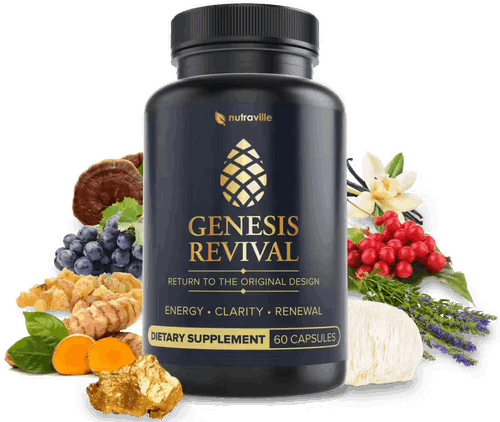  Genesis Revival